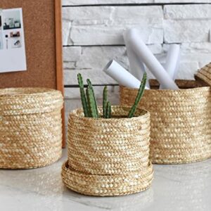 KUYYFDS 3pcs Straw Storage Baskets with Lid Woven Organizer Round Finishing Storage Box for Bedroom Living Room Laundry Snack(S M L) Shelf Baskets