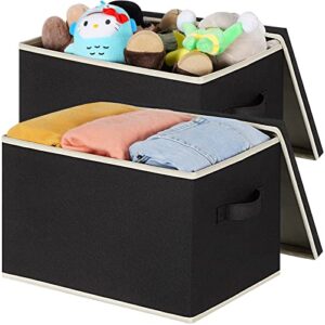 lhzk fabric storage bins with lids, large fabric storage baskets with lids for organizing 15″x11″x9.6″, closet storage bins with reinforced handles, collapsible storage boxes for shelves (black, 2-pack)
