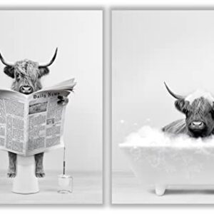 Highland Cow Wall Art Poster – Unframed Set of 2 (12x16 Inch) – Funny Bathroom Wall Decor, Black and White Wall Art, Bathroom Wall Decor, Kids Bathroom Decor, Animal Highland Cows Pictures Posters for Funny Bathroom and Restroom, Modern Cute Chic Cool Uni