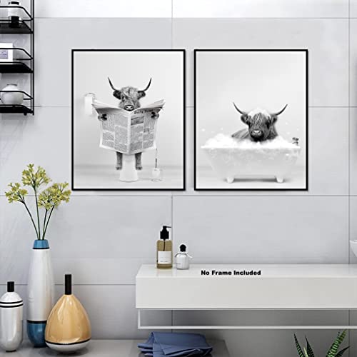 Highland Cow Wall Art Poster – Unframed Set of 2 (12x16 Inch) – Funny Bathroom Wall Decor, Black and White Wall Art, Bathroom Wall Decor, Kids Bathroom Decor, Animal Highland Cows Pictures Posters for Funny Bathroom and Restroom, Modern Cute Chic Cool Uni