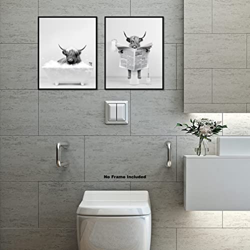 Highland Cow Wall Art Poster – Unframed Set of 2 (12x16 Inch) – Funny Bathroom Wall Decor, Black and White Wall Art, Bathroom Wall Decor, Kids Bathroom Decor, Animal Highland Cows Pictures Posters for Funny Bathroom and Restroom, Modern Cute Chic Cool Uni