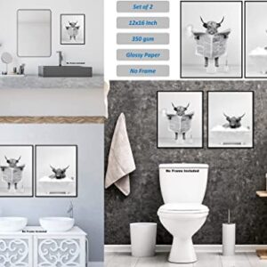 Highland Cow Wall Art Poster – Unframed Set of 2 (12x16 Inch) – Funny Bathroom Wall Decor, Black and White Wall Art, Bathroom Wall Decor, Kids Bathroom Decor, Animal Highland Cows Pictures Posters for Funny Bathroom and Restroom, Modern Cute Chic Cool Uni