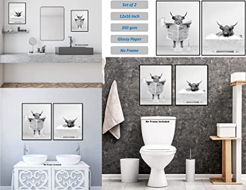 Highland Cow Wall Art Poster – Unframed Set of 2 (12x16 Inch) – Funny Bathroom Wall Decor, Black and White Wall Art, Bathroom Wall Decor, Kids Bathroom Decor, Animal Highland Cows Pictures Posters for Funny Bathroom and Restroom, Modern Cute Chic Cool Uni