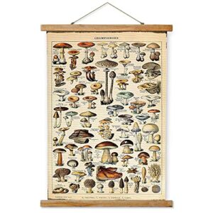 vintage mushroom poster hanger frame, retro style wall art prints, printed on linen with natural wooden frames, wall hanging decor