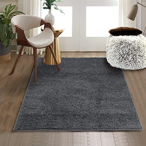 Zacoo Shag Rug 8x10 Area Rugs for Bedroom, Ultra Soft Thick Accent Rug Plush Shaggy Floor Carpet for Living Room Dorm Room, Non Skid, Large Comfy Carpet for Teen Room Decor, Dark Grey, 8' x 10'