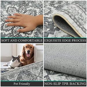 Bsmathom Persian Area Rug 3x5, Non-Slip Throw Small Entryway Rug Kitchen Mat, Low-Pile Non-Shedding Oriental Area Rug for Living Room Bedroom Office (Grey, 3x5Ft)