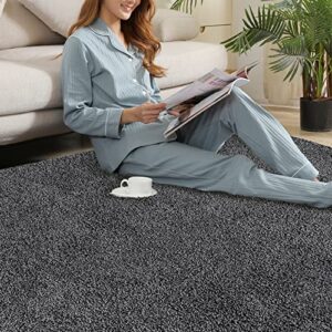 COZYLOOM Large Shag Area Rug, 9 x 12 Luxury Soft Shaggy Rug, Plush Fluffy Indoor Floor Carpet Cozy Solid Modern Rug Anti-Skid Bedroom Floor Cover Living Room Nursery Throw Carpet Dark Grey