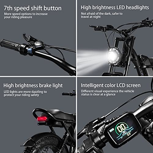 Electric Bike for Adults1000w Electric Bicycle 20 * 4.0 inch Fat Tire Ebike, Ebike for Adults Electric Bike (Black)