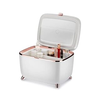 rekiro mini fridge portable thermoelectric 9 liter cooler and warmer for skincare, eco friendly beauty fridge for foods,medications, cosmetics, breast milk, medications home and travel