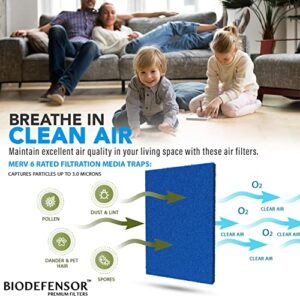 BIODEFENSOR Reusable Air Filter 20x30x1 - Made in USA - MERV 6 Cut to Size to Fit Most Air Conditioning, HVAC & Furnace Vents - Washable Replacement AC Filter, Includes Prep Pads & Hook Tape, 2-Pack