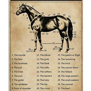 8X12 Inch Parts of A Horse Poster Knowledge Wall Décor Artwork for Horse Owner Chart Metal Tin Sign School Metal Tin