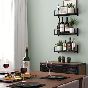 Wallniture Toledo Floating Shelves for Living Room Wall Shelves Dinning Room, Office & Kitchen Organization Bedrom Wall Decor Black Bookshelf Set of 3