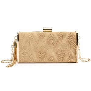 seijy tassel women evening bags golden party day clutch purse with chain shoulder handbags purse (color : black, size : 1)