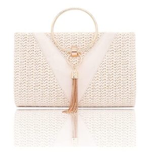 mxiaoxia tassel golden evening bags knitted flap clutch shoulder party bridal dinner day clutch purse (color : e, size