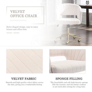 Kiztir Velvet Home Office Chair, Modern Swivel Desk Chair with Gold Base, Round Solid Wheel, Adjustable Vanity Chair for Study, Living Room, Bedroom (Beige)