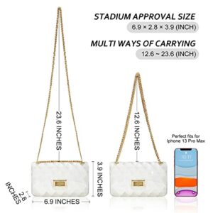 Mum's memory Semi Clear Purse for women Jelly Bag Clear Clutch Bag Stadium Approved Clear Crossbody Shoulder Clutch Handbag Cute Fashion Design See Through Clutch Mini Shoulder Bag