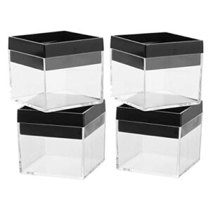 aapie mini display boxes 10pcs clear acrylic square display cases with lid – small plasitc cubes storage boxes containers for minerals jewerly coins speimen