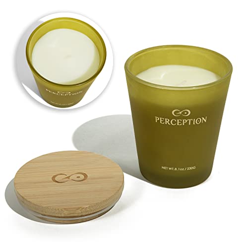 PERCEPTION AROMAS Luxury Scented Candle | Bamboo Jasmine | Hand Poured Soy Wax Candle with Gift Box | Elegant Fragrances | 50 Hour Burn Time (8.1 oz)