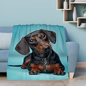 doinbee dachshund dog blanket dachshund gifts cute black dog animal on blue throw blankets for men women fluffy fleece flannel soft cozy sofa chair bed couch blanket decor travel quilts 60″x50″
