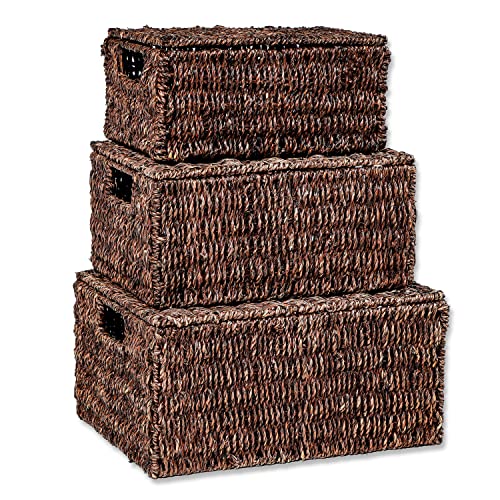 Set of 3 Rectangular Seagrass Baskets with Lids by Trademark Innovations