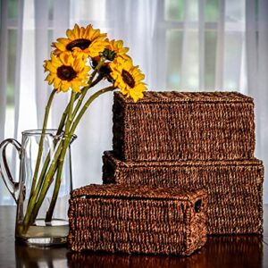 Set of 3 Rectangular Seagrass Baskets with Lids by Trademark Innovations