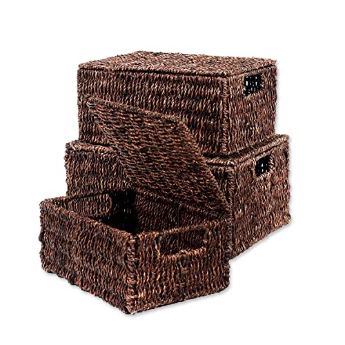 Set of 3 Rectangular Seagrass Baskets with Lids by Trademark Innovations