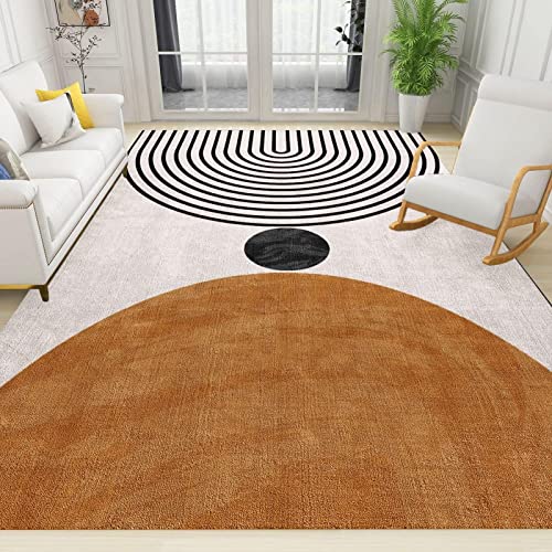 Modern Abstract Mid Century Geometry Area Rug, Boho Abstract Art Print Indoor Carpet, Rugs Floor Carpet, Indoor Non-Slip Rug for Room Sofa Living Room Mat Bedroom Home Decor 6 x 4ft