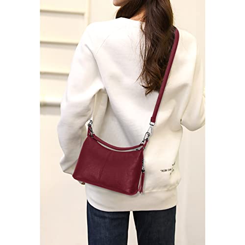 SMITH SURSEE Genuine Leather Crossbody Bags for Women, Hobo Purses and Handbags for Women Ladies Shoulder Crossbody Purse