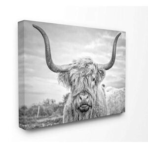 stupell industries home black and white highland cow photograph stretched canvas wall art, 30×40, multi-color,living room
