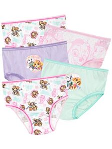 paw patrol girls’ skye and everest underwear size 5 multicolored