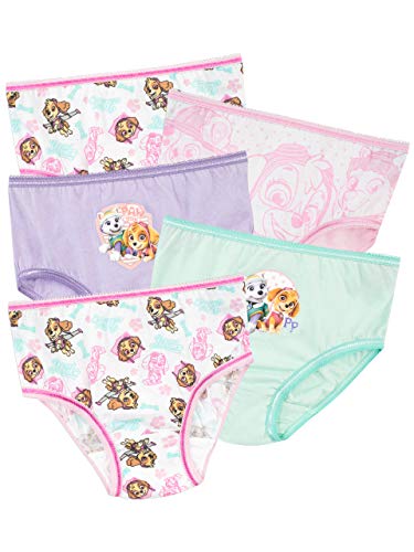 Paw Patrol Girls' Skye and Everest Underwear Size 5 Multicolored