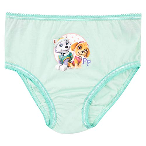 Paw Patrol Girls' Skye and Everest Underwear Size 5 Multicolored