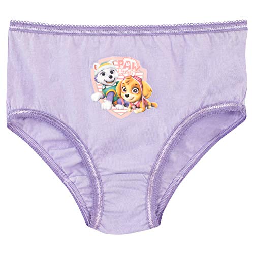 Paw Patrol Girls' Skye and Everest Underwear Size 5 Multicolored