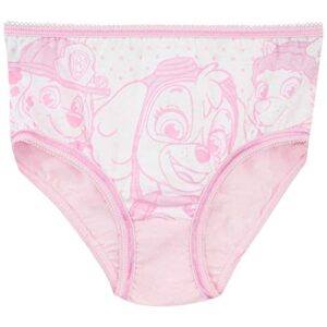 Paw Patrol Girls' Skye and Everest Underwear Size 5 Multicolored