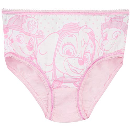 Paw Patrol Girls' Skye and Everest Underwear Size 5 Multicolored