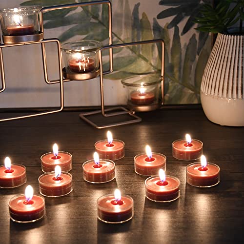 Zest Candle 50-Piece Tealight Candles, Brown