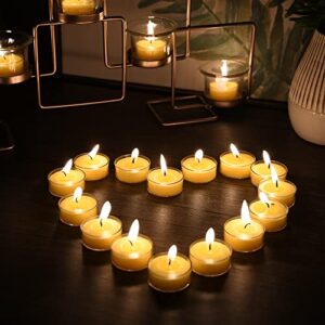 Zest Candle 50-Piece Tealight Candles, Yellow