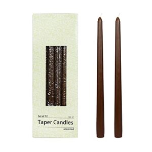zest candle 12-piece taper candles, 12-inch, brown
