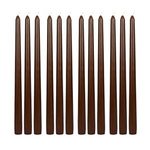 Zest Candle 12-Piece Taper Candles, 12-Inch, Brown