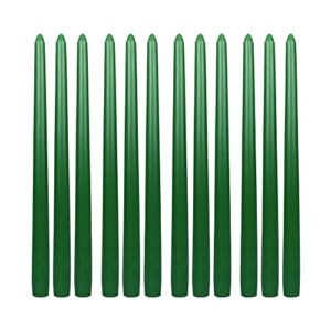 Zest Candle 12-Piece Taper Candles, 12-Inch, Hunter Green