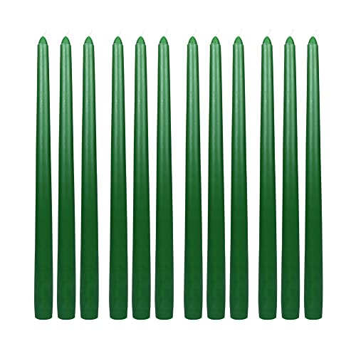 Zest Candle 12-Piece Taper Candles, 12-Inch, Hunter Green