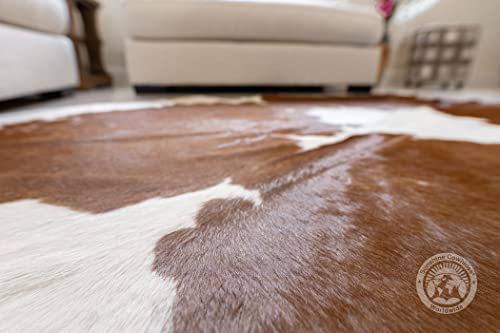 Genuine Brown and White Cowhide Rug XL 6 x 7-8 ft. 180 x 240 cm