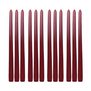 Zest Candle 12-Piece Taper Candles, 12-Inch, Burgundy