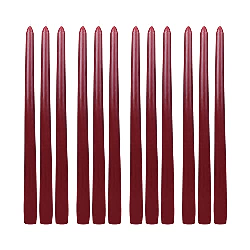 Zest Candle 12-Piece Taper Candles, 12-Inch, Burgundy