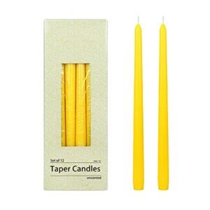 zest candle inch, yellow 12-piece taper candles, 12″, 12 count