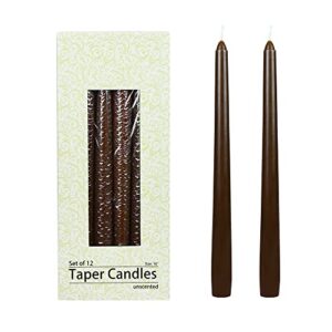 zest candle 12-piece taper candles, 10-inch, brown