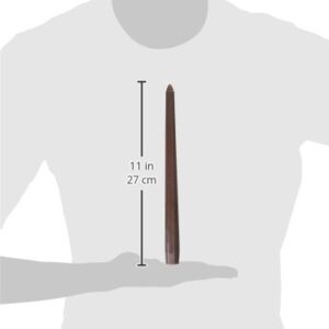 Zest Candle 12-Piece Taper Candles, 10-Inch, Brown