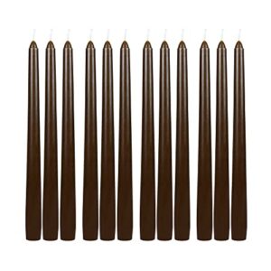 Zest Candle 12-Piece Taper Candles, 10-Inch, Brown