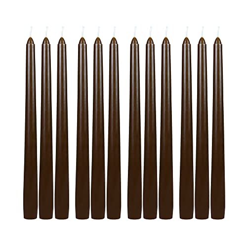 Zest Candle 12-Piece Taper Candles, 10-Inch, Brown