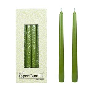 zest candle 12-piece taper candles, 10-inch, sage green